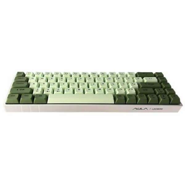 AULA F3068 green/white