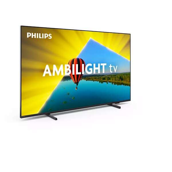 PHILIPS 55PUS8079/12