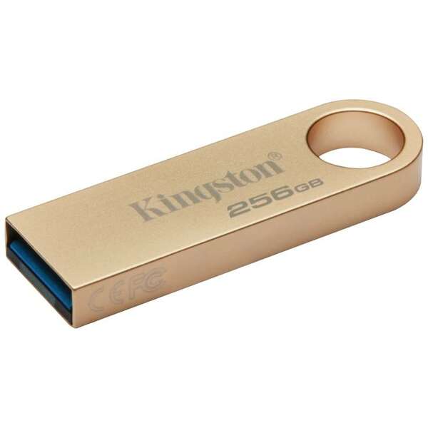 KINGSTON 256GB DTSE9G3/256GB