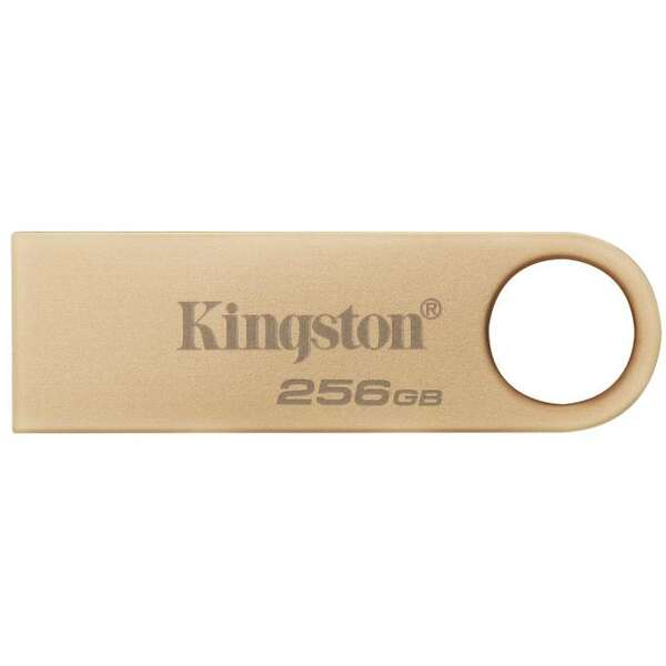 KINGSTON 256GB DTSE9G3/256GB