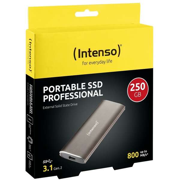 INTENSO 250Gb Professional