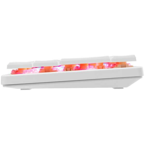 WHITE SHARK GK 006212 NAGAMAKI SR WHITE-RED MEHANICKA