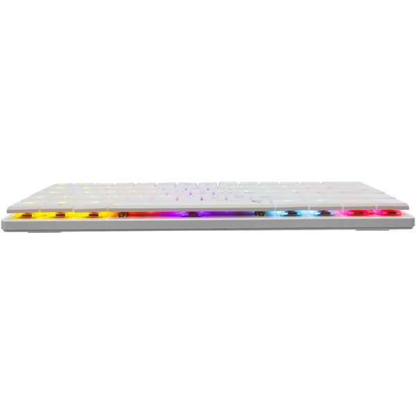 WHITE SHARK GK 006211 NAGAMAKI US WHITE-RED MEHANICKA