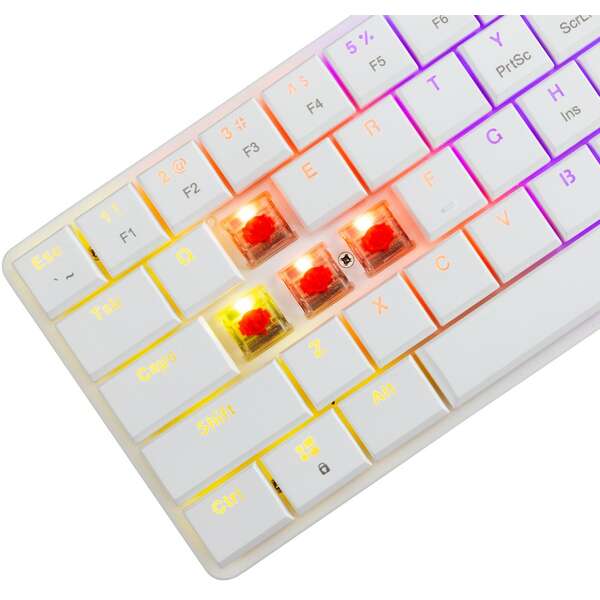 WHITE SHARK GK 006211 NAGAMAKI US WHITE-RED MEHANICKA