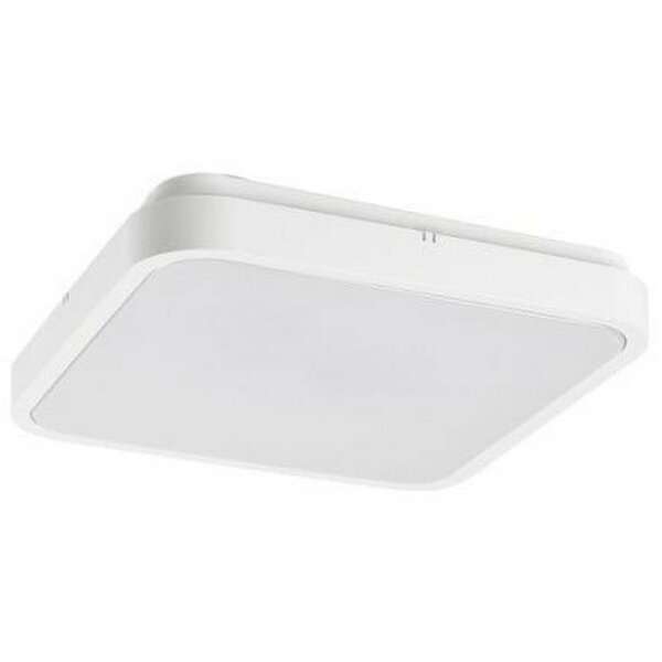 RABALUX Alenzo, LED plafonjera 24W, DIP Switch CCT 3000-6500K, 29x29cm, IP44,bela