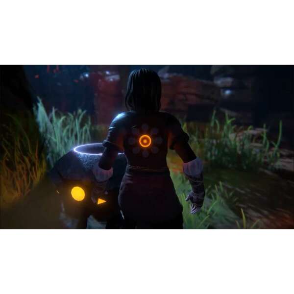 SONY PS4 Seed of Life