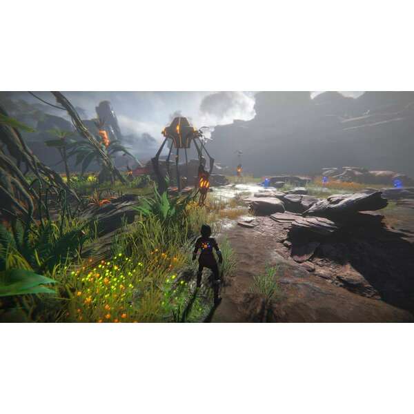 SONY PS4 Seed of Life