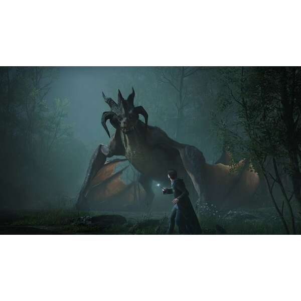 SONY PS5 Hogwarts Legacy