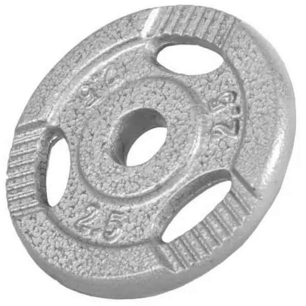 GORILLA SPORTS Teg od livenog gvozdja 2,5 kg (30 mm u sivoj boji)