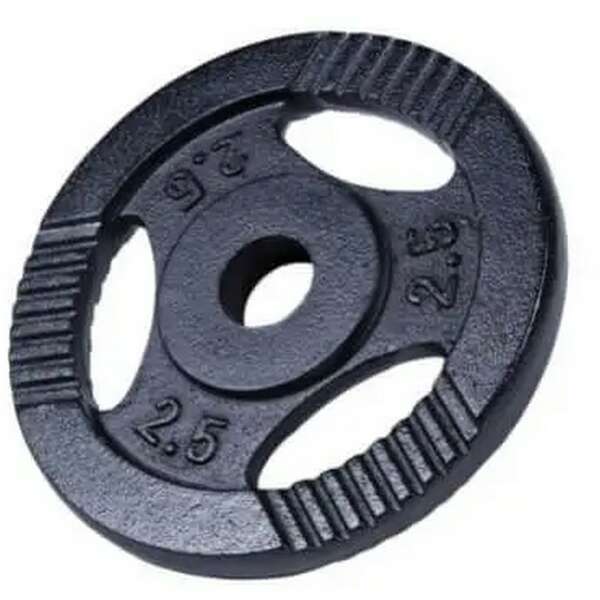 GORILLA SPORTS Teg od livenog gvozdja 2,5 kg (30 mm u crnoj boji)