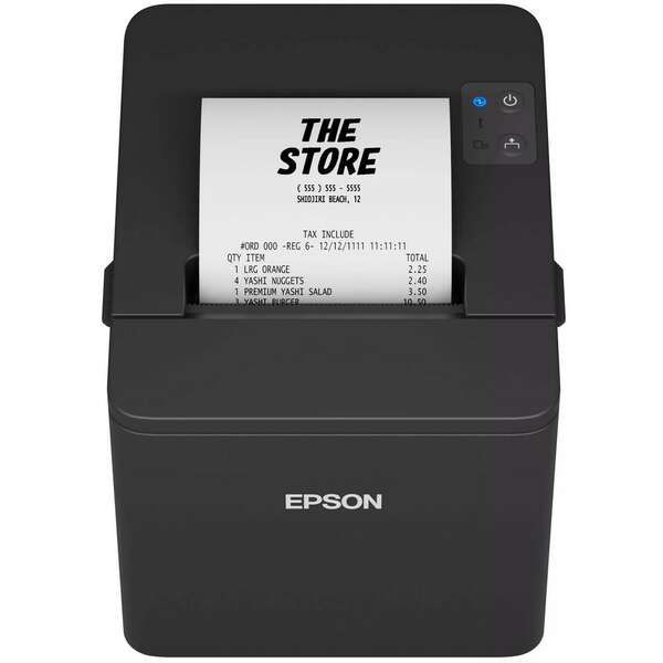 EPSON TM-T20IV-101
