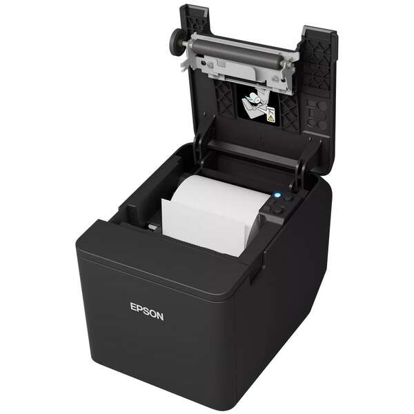 EPSON TM-T20IV-101