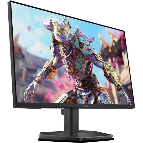 DELL SE2426HG