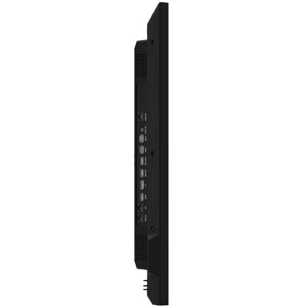 HISENSE 43DM66D