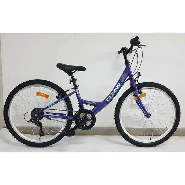 24 CROSS ALISSA  Purple 2022