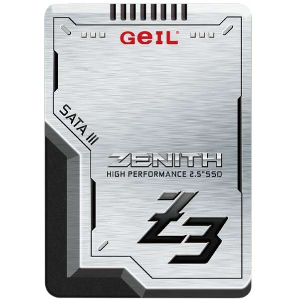 GEIL 256GB 2.5
