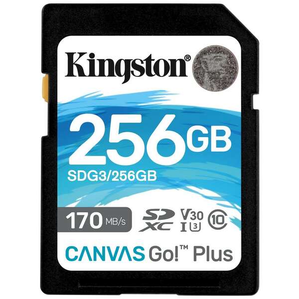 KINGSTON Mem. kartica Canvas Go! Plus SD 256GB, sdg3/256gb