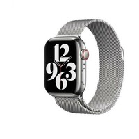 APPLE Watch 41mm Band Silver Milanese Loop mtjn3zm/a