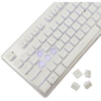 WHITE SHARK WS GK 003241 US TACHI White