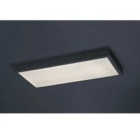 RABALUX Damek2 plafonjera LED24W 60x30cm