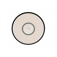 RABALUX Sedona2 plafonjera LED24W D39 5cm