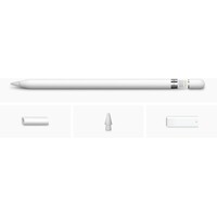APPLE Pencil (1st Generation) (2025) myqw3zm/a