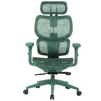 SPAWN Ergo Meshy Green