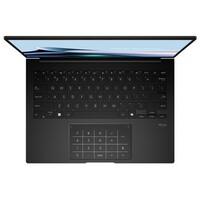 ASUS Zenbook 14 UM3406KA-PP059W, 14