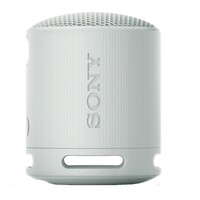 SONY SRSXB100H.CE7