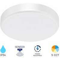 BRAYTRON BRY-GRANDE-RND-20W-5IN1-SNS-IP54-CEILING LIGHT