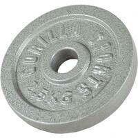 GORILLA SPORTS Teg od livenog gvozdja (2,5 kg / Srebrni)