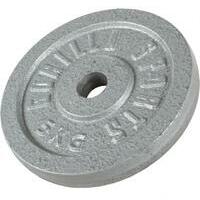 GORILLA SPORTS Teg od livenog gvozdja (5 kg  /  Srebrni)