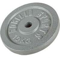 GORILLA SPORTS Teg od livenog gvozdja (10 kg / Srebrni)