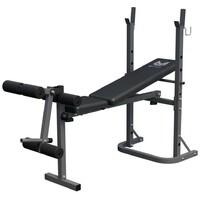 GYRONETICS Multifunkcionalna benc klupa sa dodacima za vezbanje (Gyronetics)