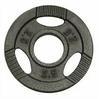 GORILLA SPORTS Teg od livenog gvozdja 2,5 kg (50 mm u sivoj boji)