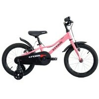 CROSS 16 CROSS DAISY 2026 Pink  Light