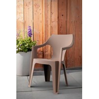 KETER Dante lowback kapucino 