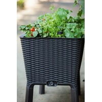 KETER Easy grow 120L grafit