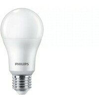 PHILIPS PS696    13W(100W) E27 A67 CW FR SET 3 / 1