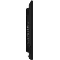 HISENSE 43DM66D