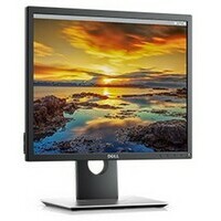 DELL P1917S MON01223