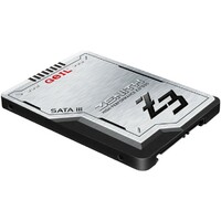 GEIL 256GB 2.5