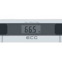 ECG OV 137 Glass